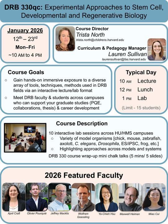 DRB Bootcamp Flyer