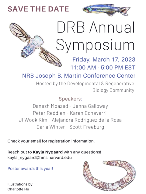 DRB Symposium